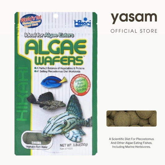 HIKARI - Algae Wafers for Algae eaters (pleco and otto fish food)