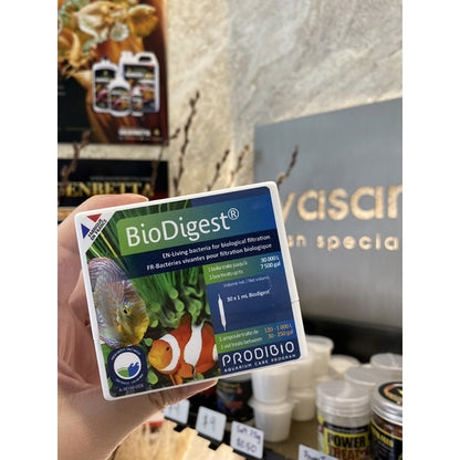 PRODIBIO - Bakteri Bermanfaat Hidup BioDigest untuk memulai nutrifikasi