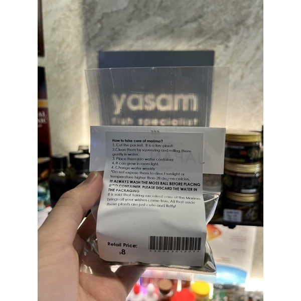 YASAM - 活植物迷你苔藓球 Marimo 苔藓