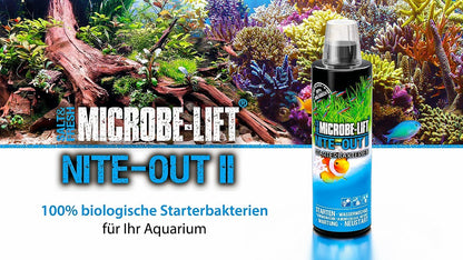 MICROBE LIFT - Nite-Out II（盐和淡水亚硝酸盐还原剂） 