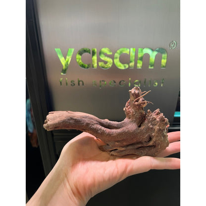 YASAM - Genuine Driftwood (Exact Piece)