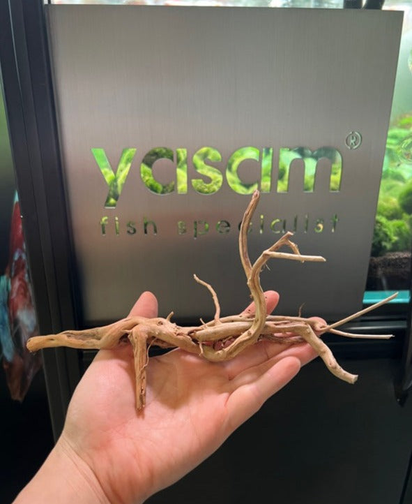 YASAM - 真正的浮木（精确的一块）