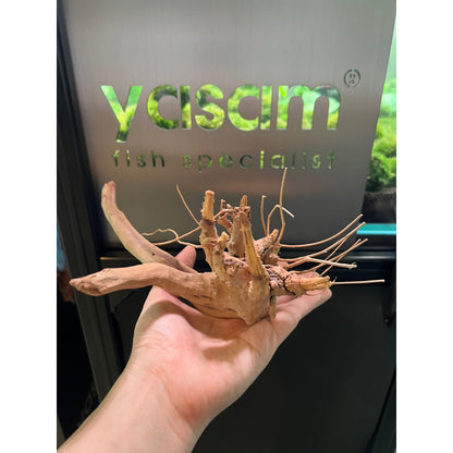 YASAM - 真正的浮木（精确的一块）
